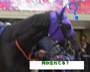 �ڶ��ϡۼ�ʬ�������ܥ�
