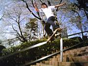 ʡ��SKATEBOARDS