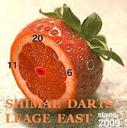 SHIMANE DARTS LEAGUE EAST