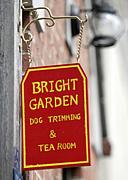 Bright Garden Tea Roomڹ