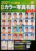 日本のプロ野球が好きな人