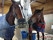 ����Ω��ء��Ͻ���