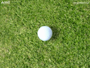 golf褩