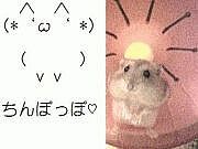 orz=�����؎���=��