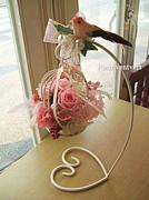 2007ǯ9��16������ǰ��