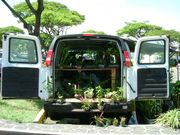 ��ʬ�����Υ����ȥɥ���ӥ�