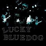 LUCKY BLUEDOG(ex.Thee apes)