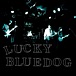 LUCKY BLUEDOG(ex.Thee apes)