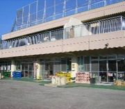 ����ݰ�ࡡ1991ǯ´����