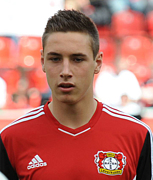 �ɥߥ˥���������