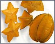 ����ʪ��Fruit��Fruta��