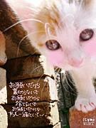�Ԥ����결�ε㤭���