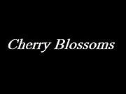 Cherry Blossoms ԡ