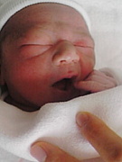 ��������ǯ����������ޤ�