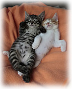 �Ĥ��ƥ�Ӥ�Ĥ����ޤ޿����㤦