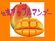 台湾産アップルマンゴー