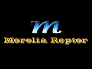 Morelia Reptor