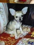 ����Ω��ǹͤ���衦����