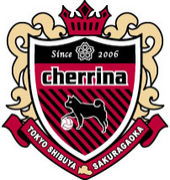 桜丘cherrina FC