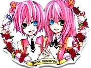 pink macaron*Ϣ