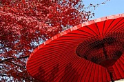�氩�͡��ʵ��ڤ���ƻ��