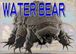 WATER BEAR（熊虫）