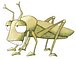 the grasshopper(��)