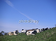 ������ε��������ꥳ�ߥ�