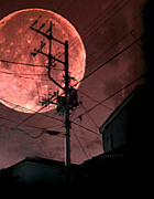†Strawberry Moon†