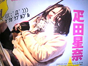 ɥ�������������礷�褦