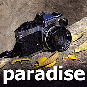 Paradise @(ͭ)ϥ