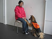 聴導犬訓練士＆介助犬訓練士学校