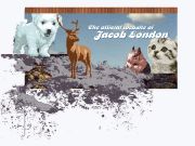 Jacob London