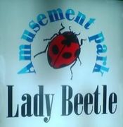 Welcome to Lady Beetle