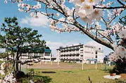 福井市立六条小学校