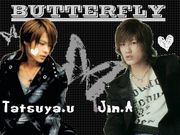 BUTTERFLY .+ﾟAmazing loveﾟ+.