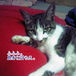 ڥåȼ̿ǥޥޥ