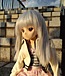駆け出しドールオーナー