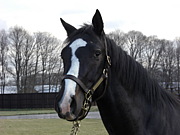 ������ץ�󥷥ѥ�