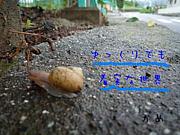 写真詩で癒されたい