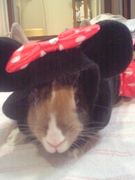 �����λҤ����֤�������