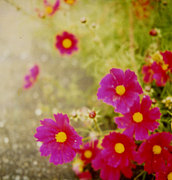 Ȣ�ۥݥ������