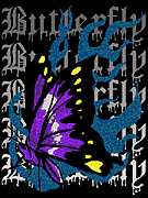 Night black butterfly