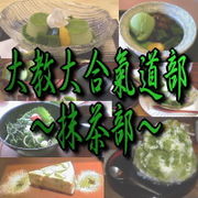�綵�����ƻ�� ����������