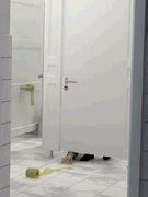 ��äѤꥢ�ۤ�ʡʡ���������