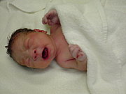 2011年1月14日生まれの子