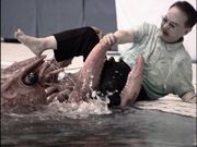 ��������߻��ܴ���