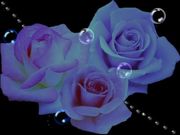 Bio Gel専門サロン　blue rose