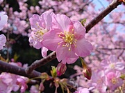 天塾！本来の自分を生きる