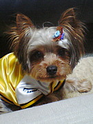 ��������� �Ҳ������